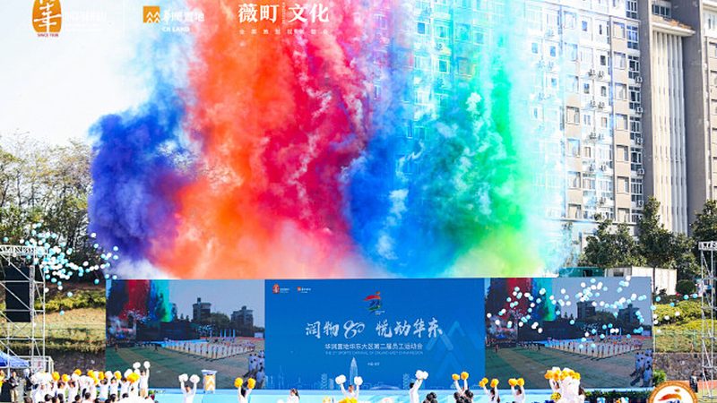 VI设计素材分类解析：高清素材的奥秘